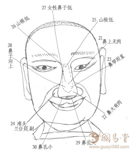 女人面相鼻子图解